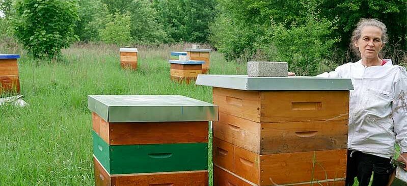 Bienenstöcke der Honigmanufaktur Bienenklang